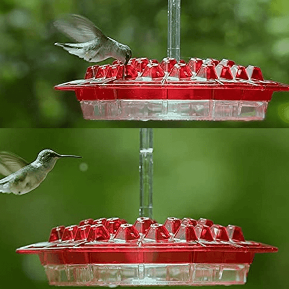 Hummingbird Feeder With 30 Ports And Built-In Ant Guard For Garden And Patio