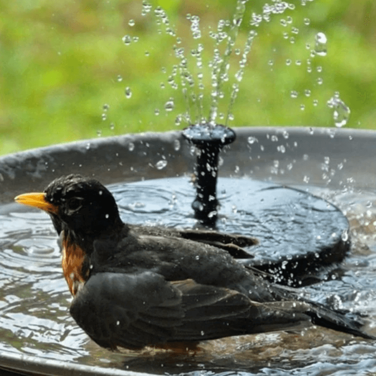 LED Solar Fountain Pump with 4 Spray Modes