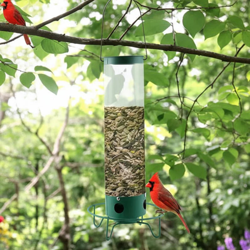 Bird Feeder With Multi-Port System And Protective Function