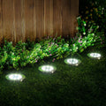Solar Garden Path Lights