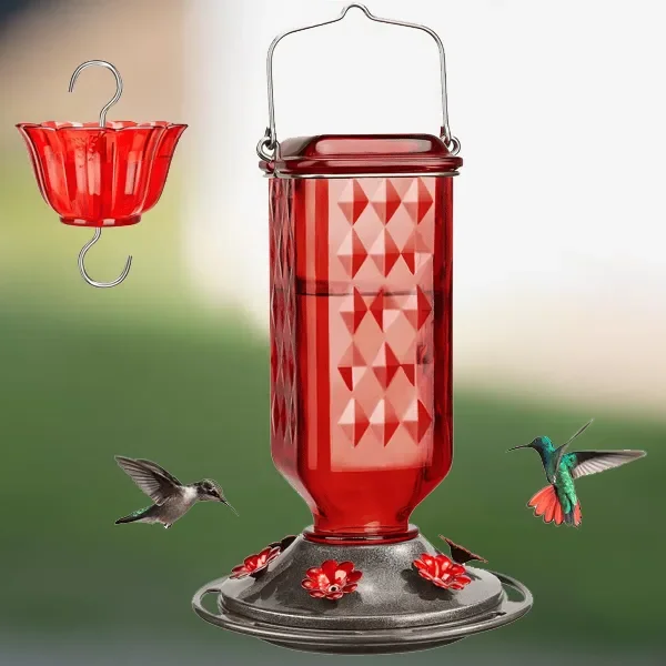 24Oz Leak Proof Glass Hummingbird Feeder