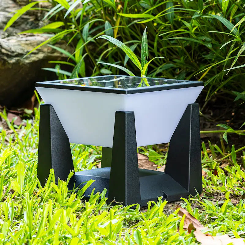 Solar Pathway Lights for Garden Walkways