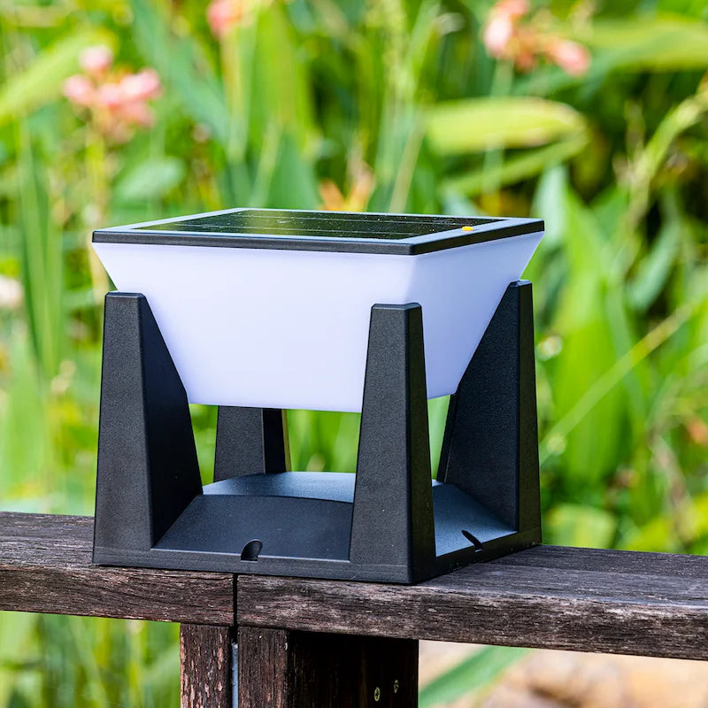 Solar Pathway Lights for Garden Walkways