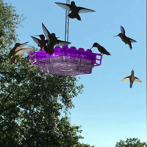 Hummingbird Feeder With 30 Ports And Built-In Ant Guard For Garden And Patio