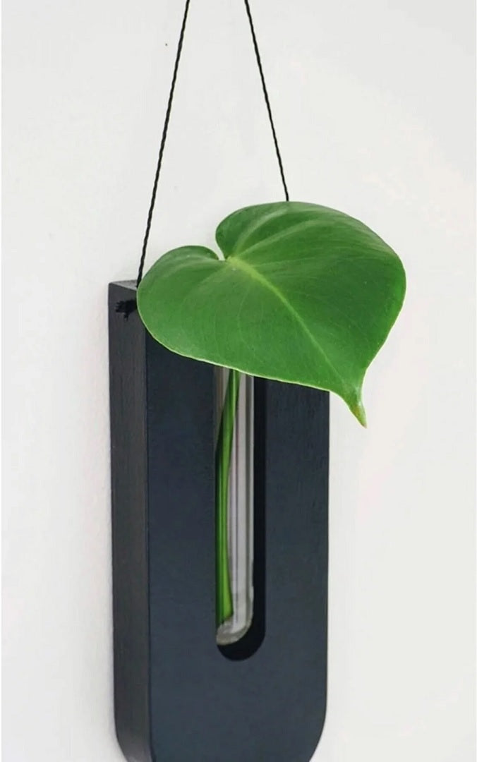 Wall-Mounted Planter