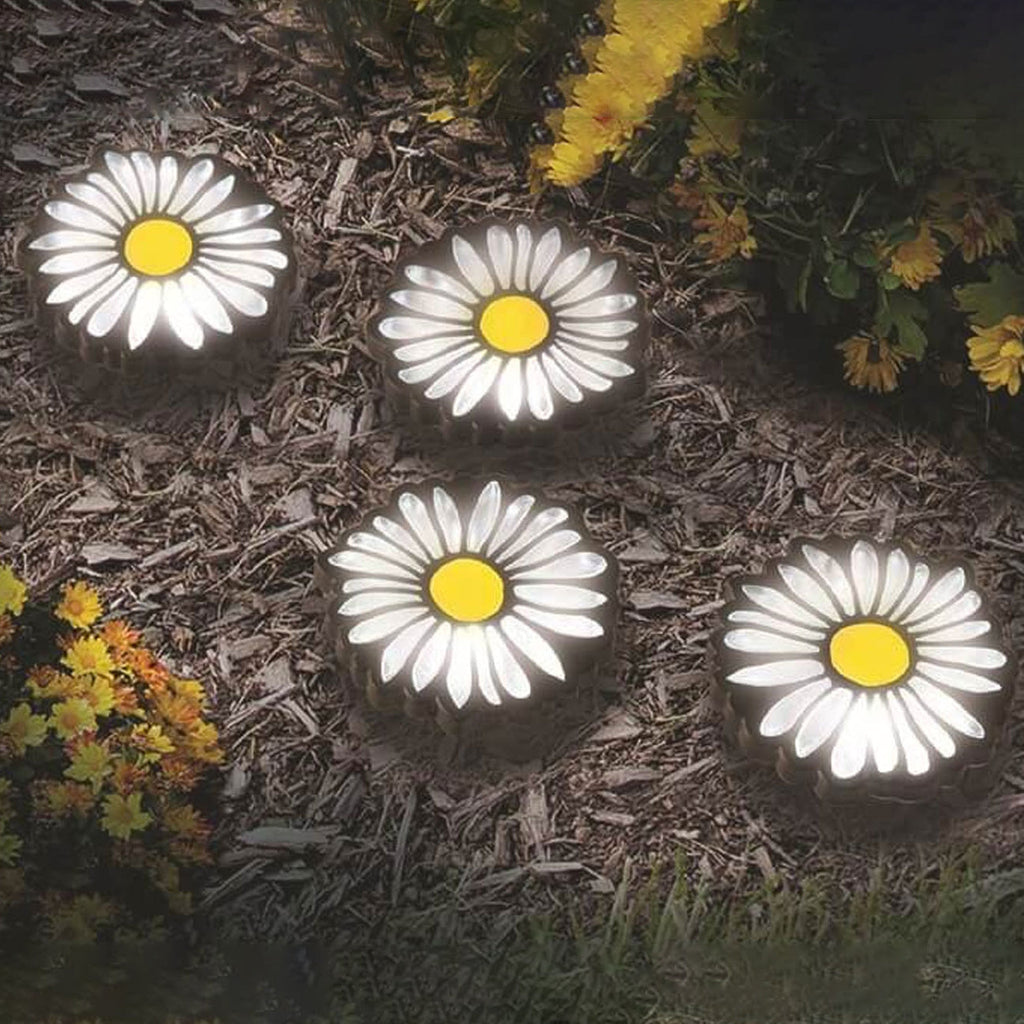 Daisy Solar Garden String Lights