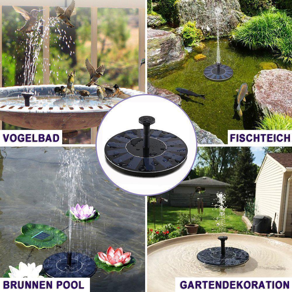 Solar Fountain Pump for Ponds and Bird Baths