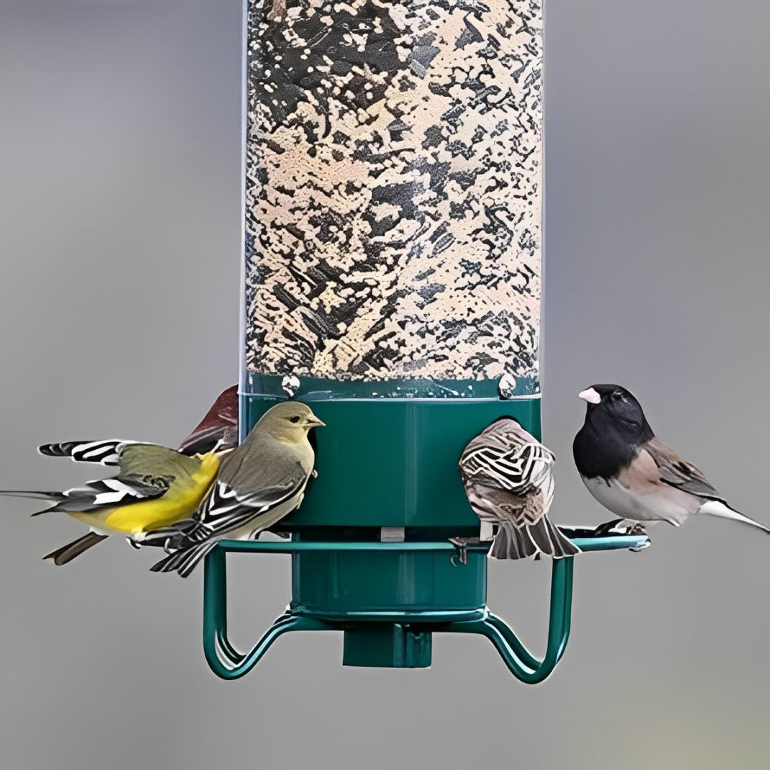 Outdoor Bird Feeder - Squirrel Proof Bird Feeder Heavy Duty Metal Tube Design