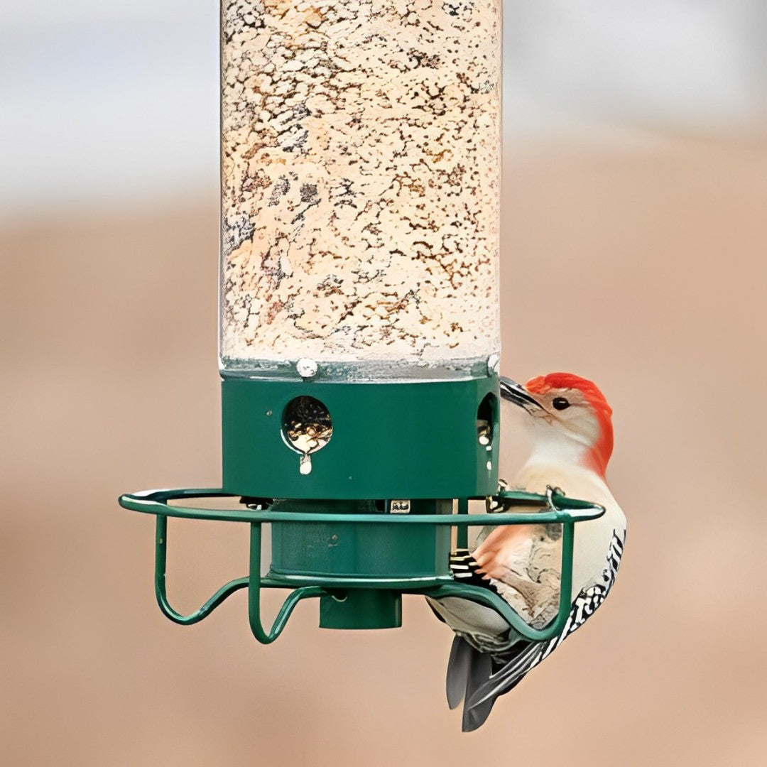 Outdoor Bird Feeder - Squirrel Proof Bird Feeder Heavy Duty Metal Tube Design