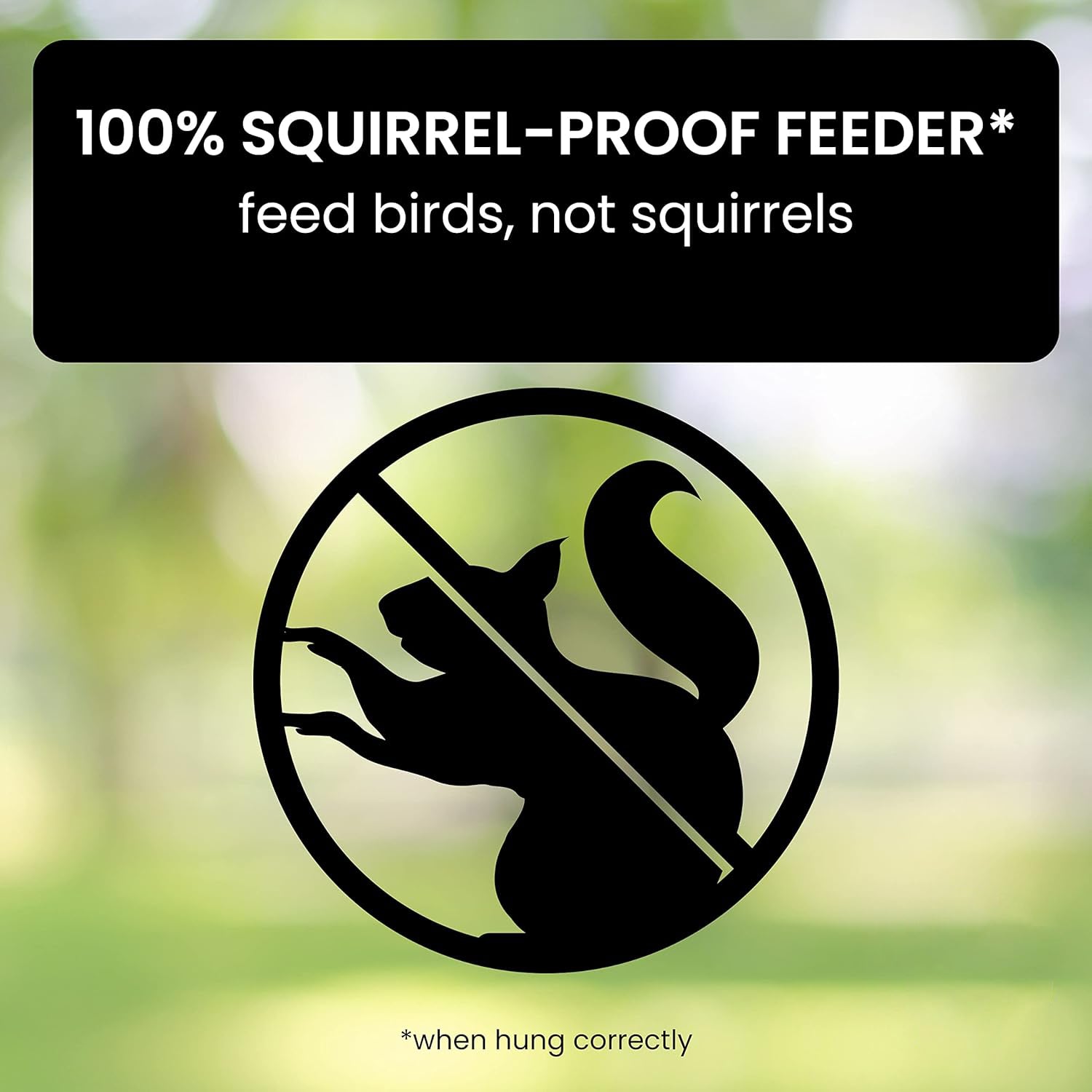 Outdoor Bird Feeder - Squirrel Proof Bird Feeder Heavy Duty Metal Tube Design