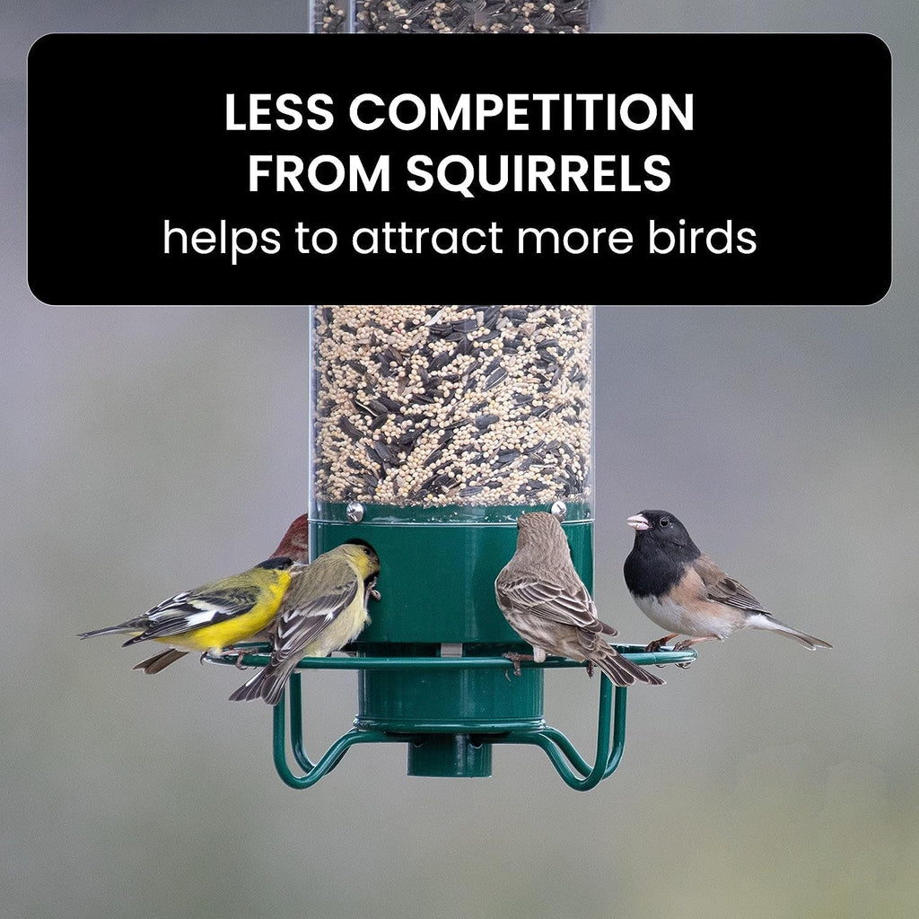 Outdoor Bird Feeder - Squirrel Proof Bird Feeder Weight Activated Anti Squirrel