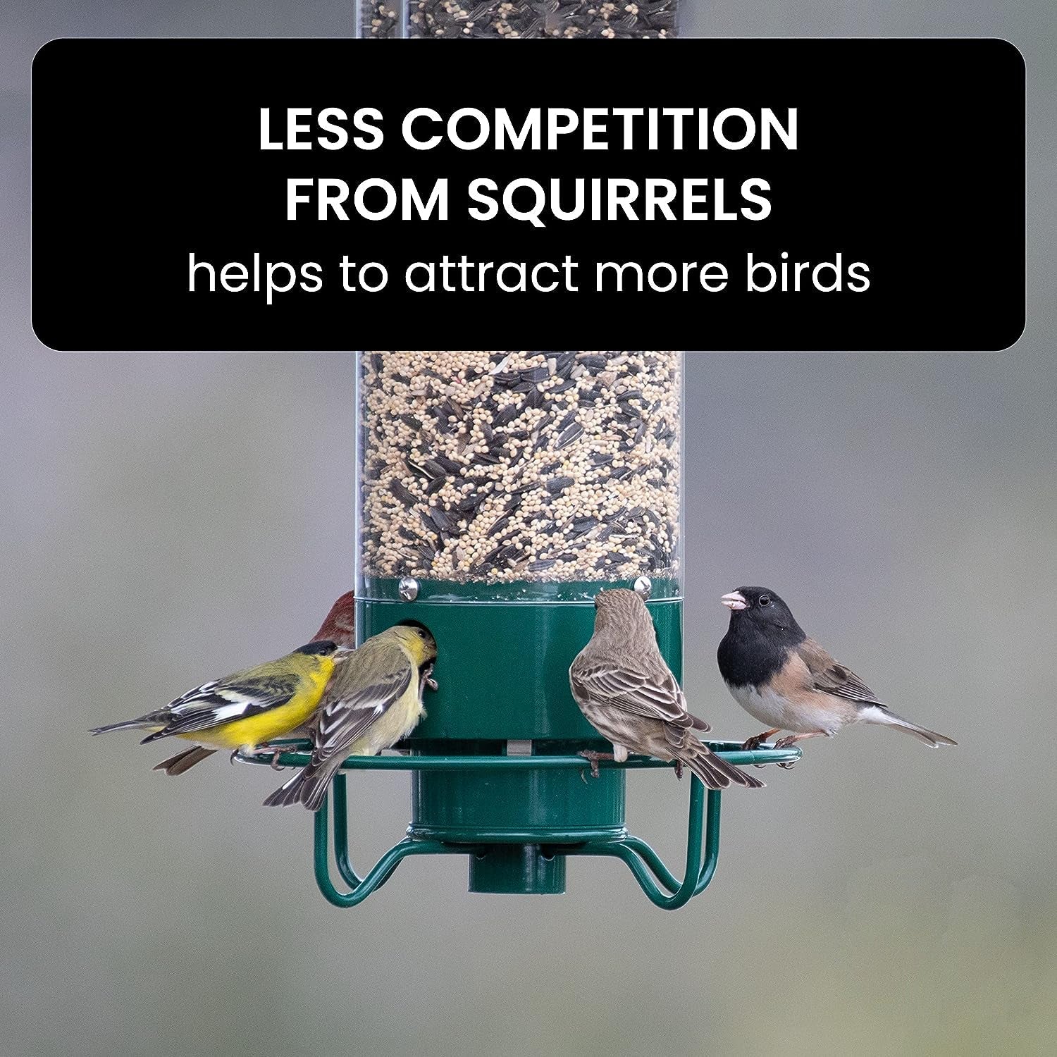 Outdoor Bird Feeder - Squirrel Proof Bird Feeder Weight Activated Anti Squirrel