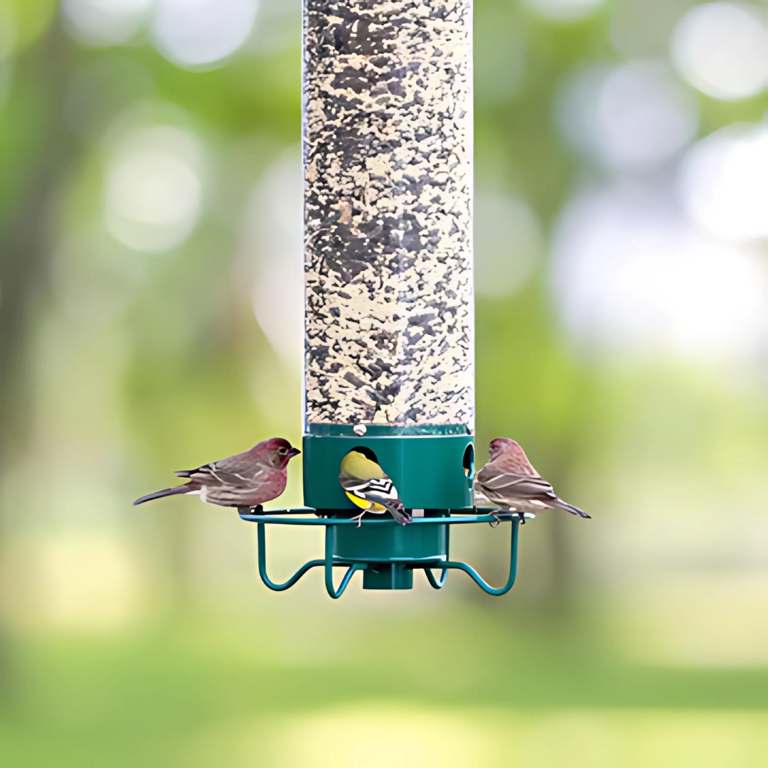 Outdoor Bird Feeder - Squirrel Proof Bird Feeder Rotating Perch Metal Design 1