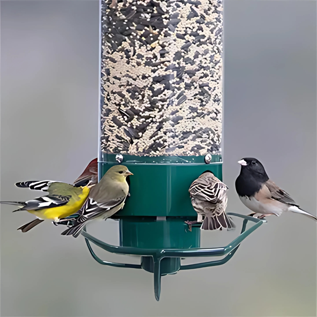 Outdoor Bird Feeder - Squirrel Proof Bird Feeder Rotating Perch Metal Design 1