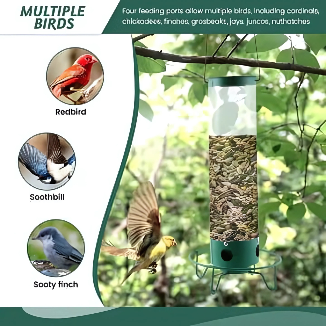Outdoor Bird Feeder - Squirrel Proof Bird Feeder Rotating Perch Metal Design 1