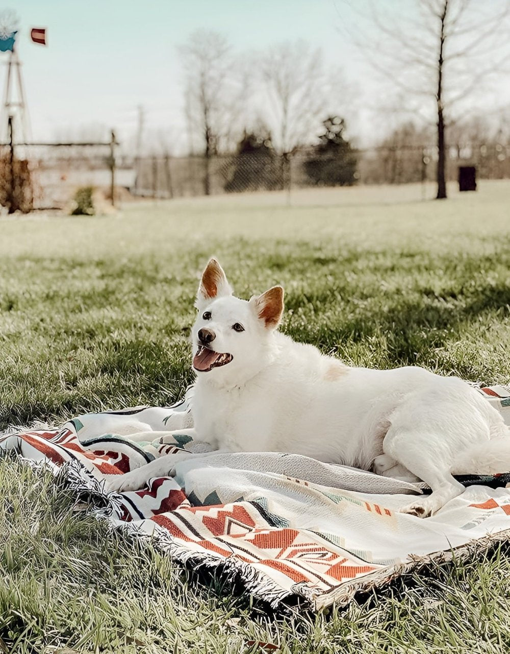 Picnic Mat - Reversible Durable Cotton Blend, 150x200 cm