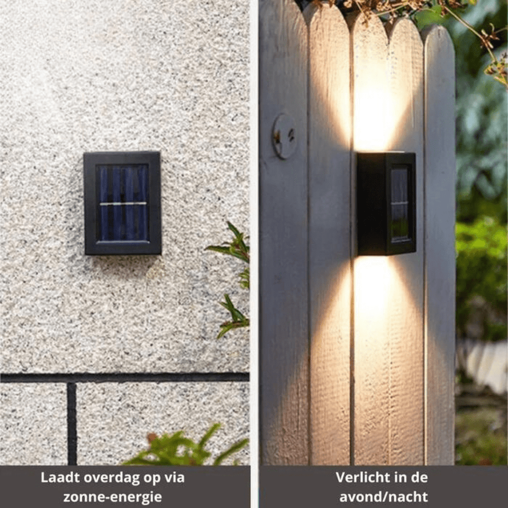 Solar Garden Lights For Outdoor Ambience & Driveway Illumination