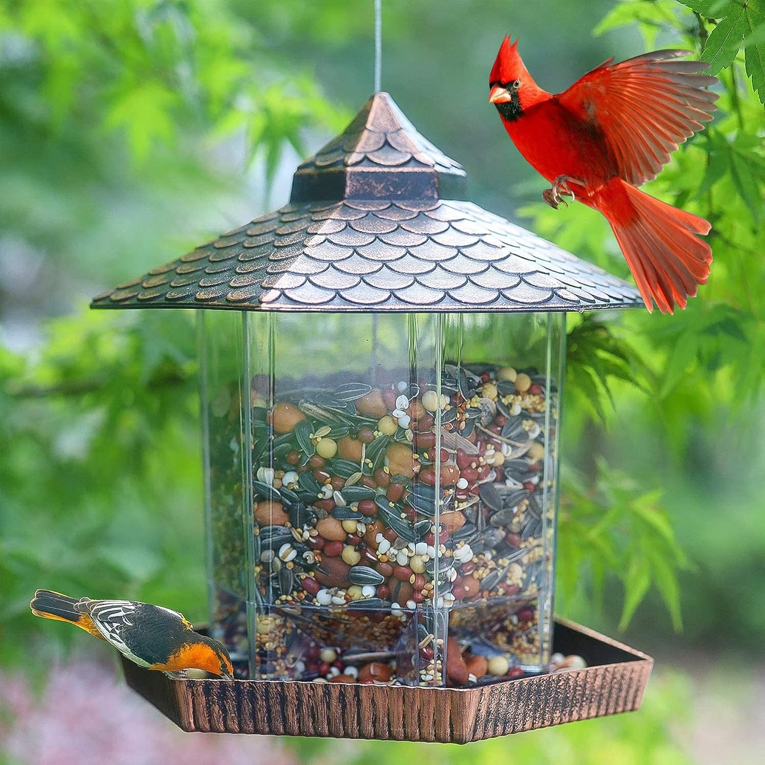 Outdoor Bird Feeder - Hanging Bird Feeder Copper Roof Weather Resistant Design