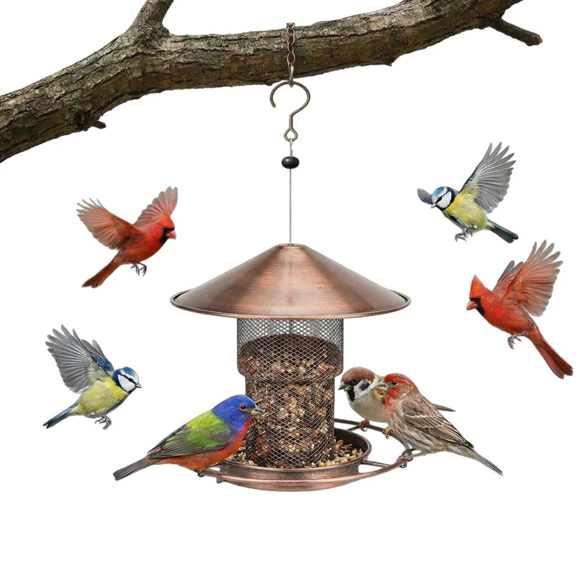 Squirrel-Proof Bird Feeder Made Of Iron