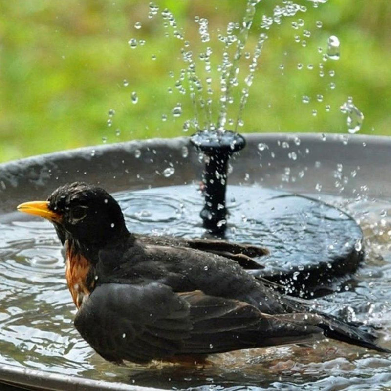 Solar Fountain Pump for Ponds and Bird Baths