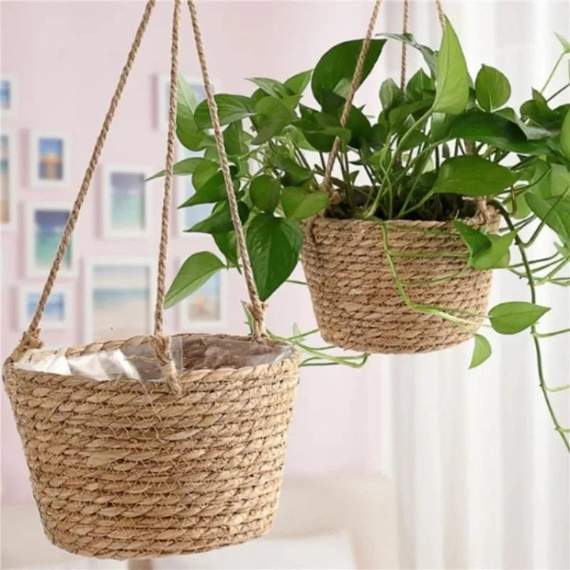 Hanging Planter For Indoor & Outdoor Use