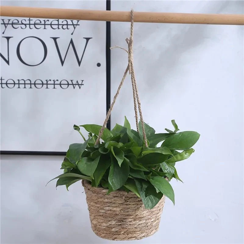 Hanging Planter For Indoor & Outdoor Use
