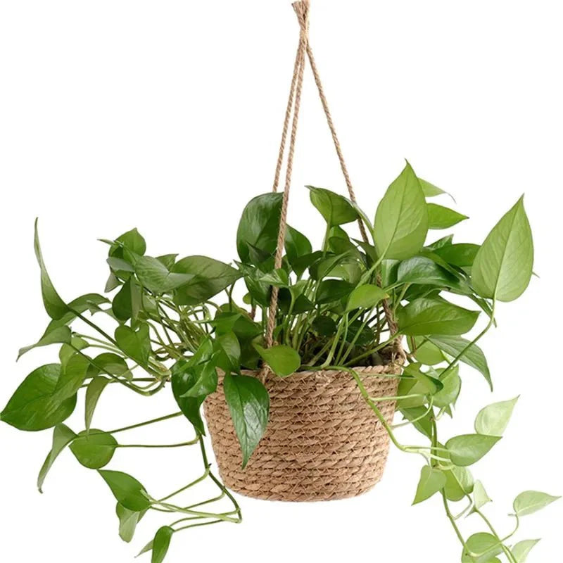 Hanging Planter For Indoor & Outdoor Use