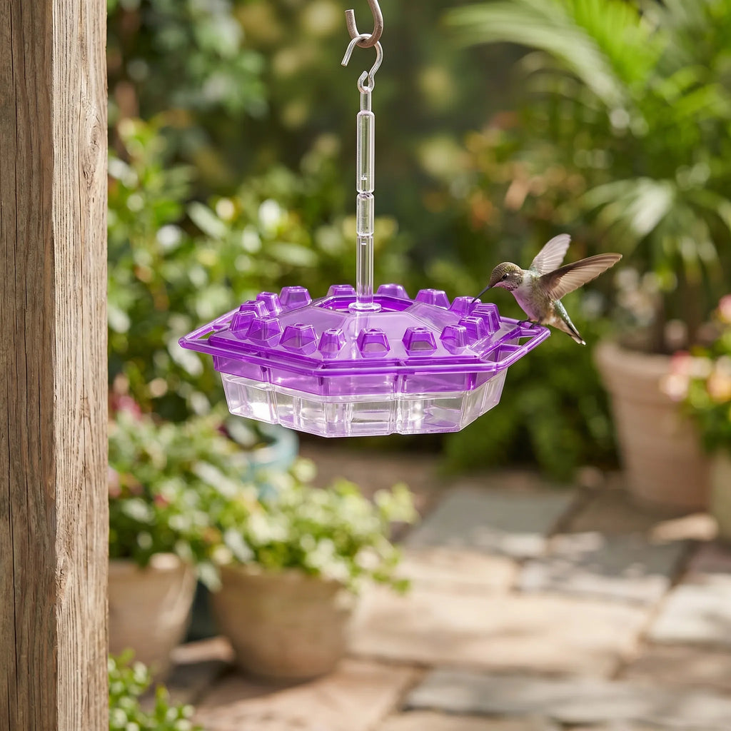 Hanging Bird Feeder with Seed Dispenser