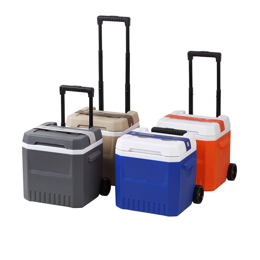 Cooler Bag With Extendable Handle And Wheels