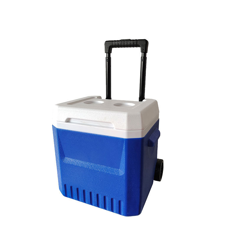 Cooler Bag With Extendable Handle And Wheels