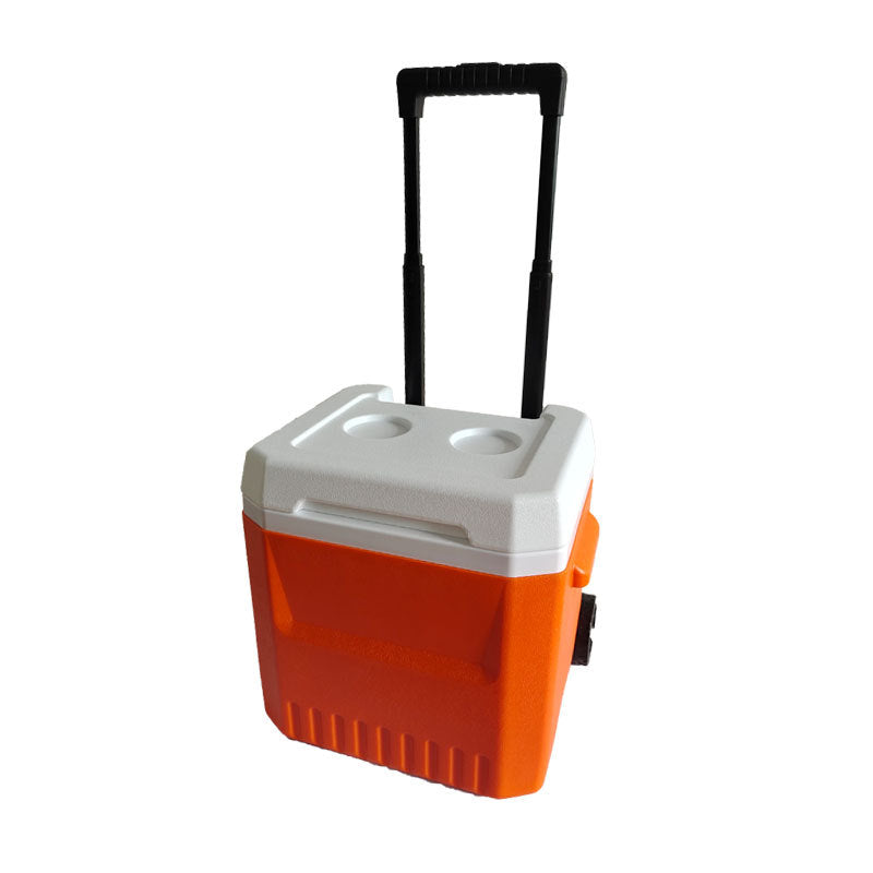 Cooler Bag With Extendable Handle And Wheels