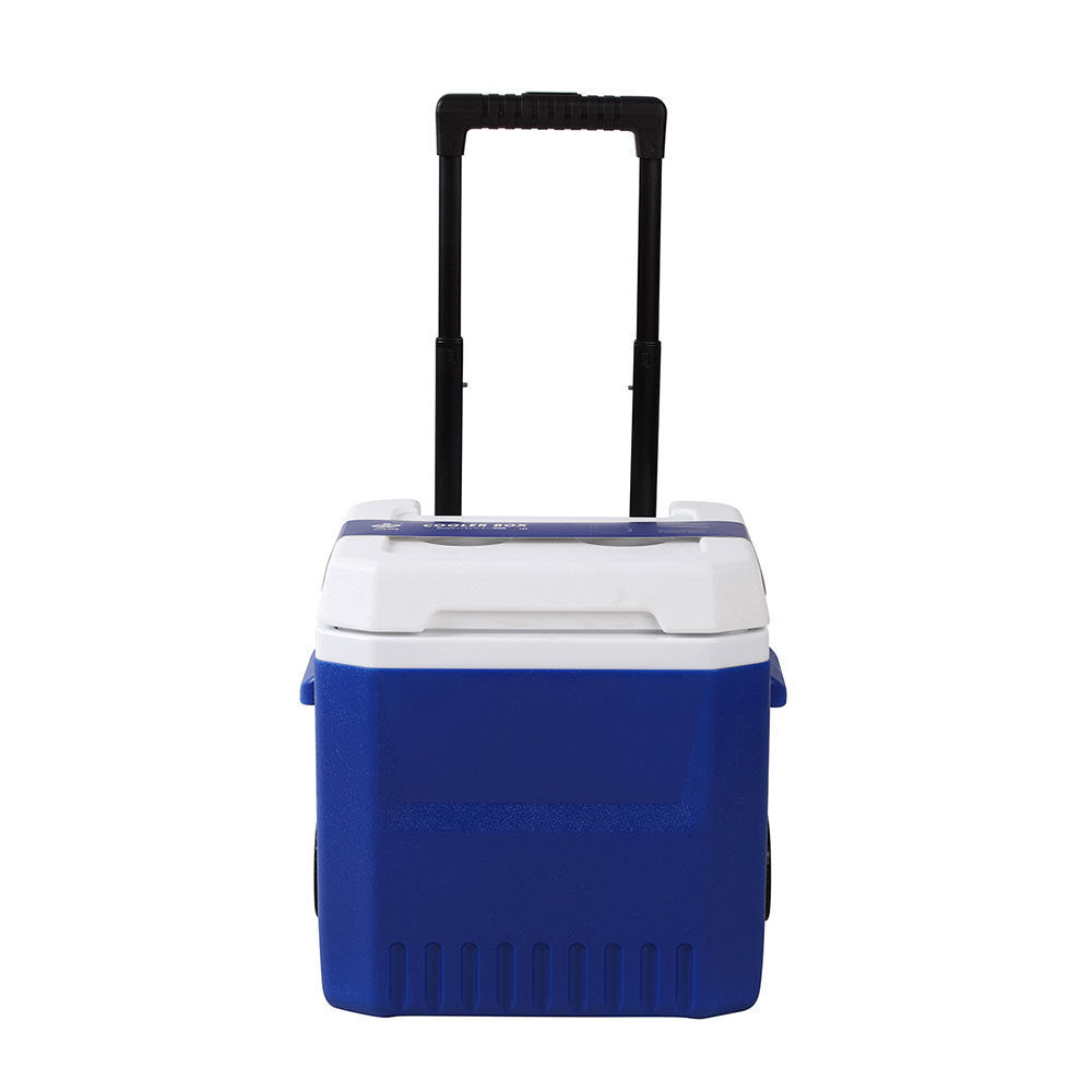 Cooler Bag With Extendable Handle And Wheels