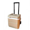 Cooler Bag With Extendable Handle And Wheels