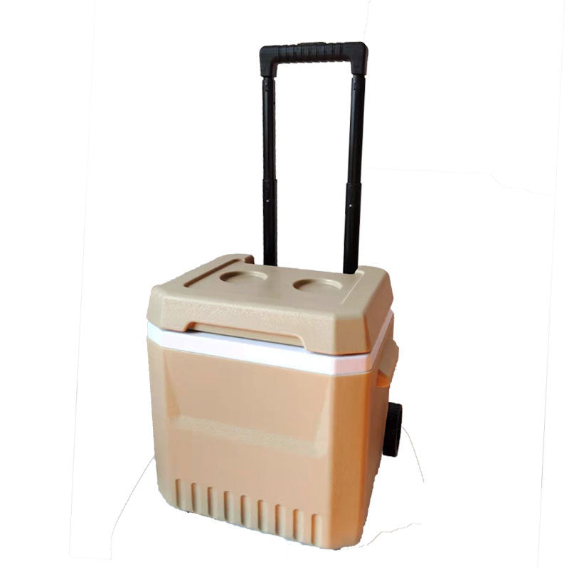 Cooler Bag With Extendable Handle And Wheels