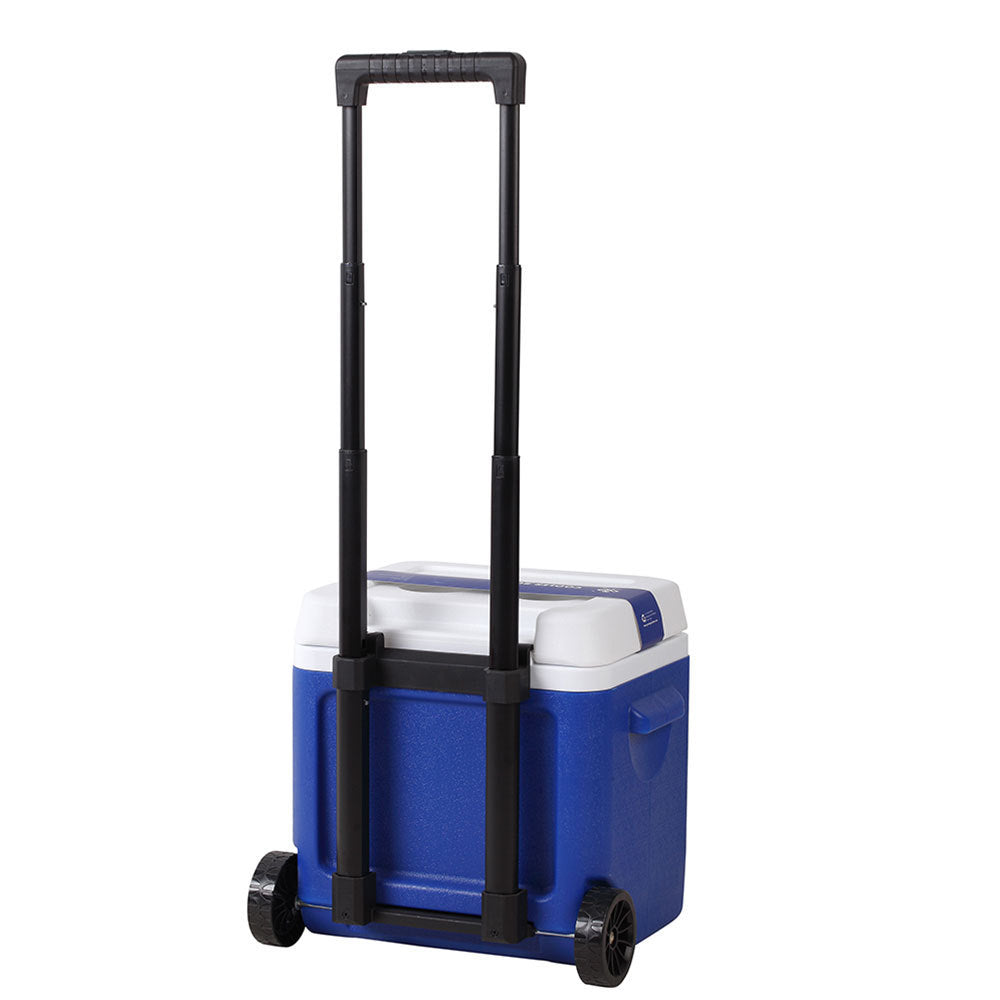 Cooler Bag With Extendable Handle And Wheels