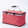Cooler Bag