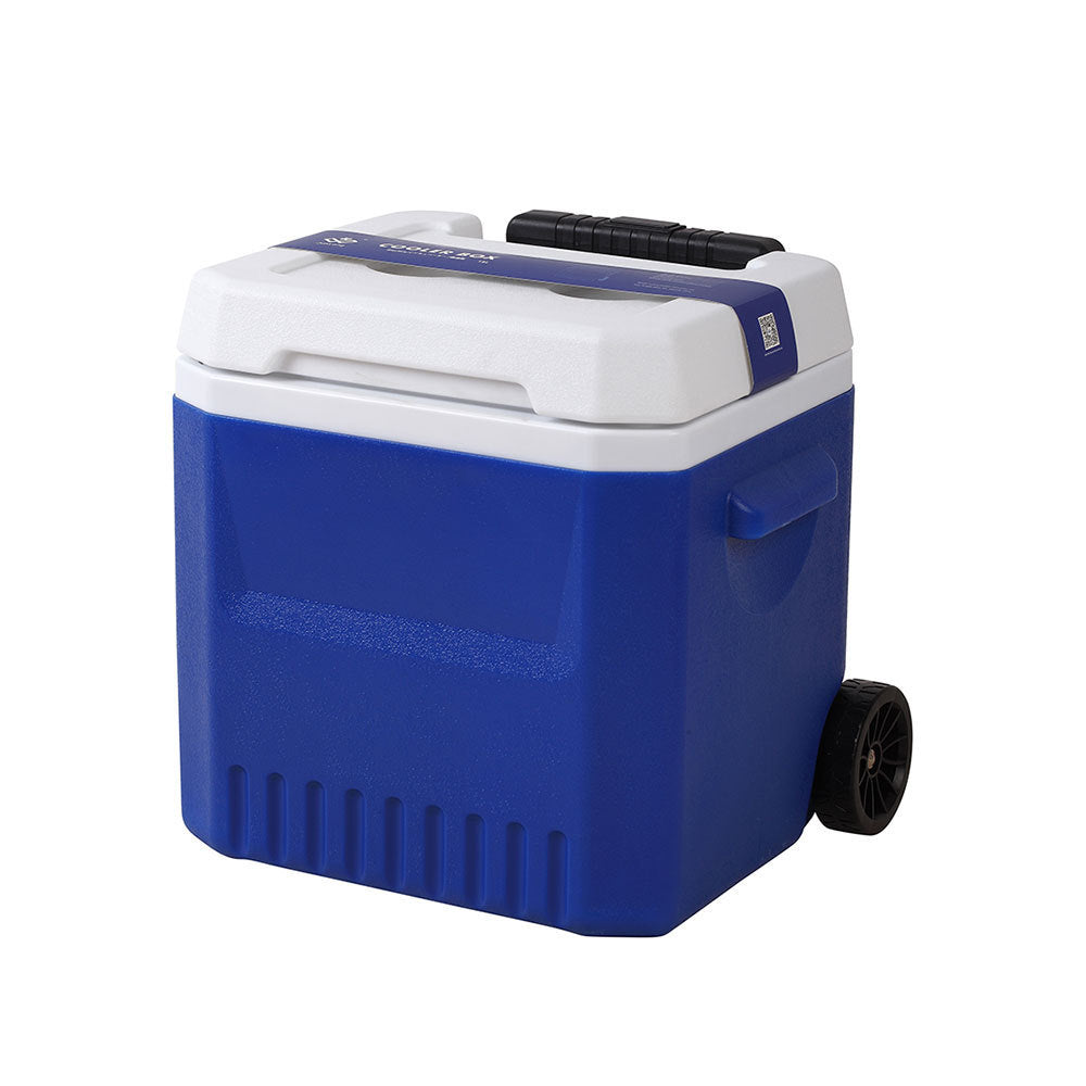 Cooler Bag With Extendable Handle And Wheels