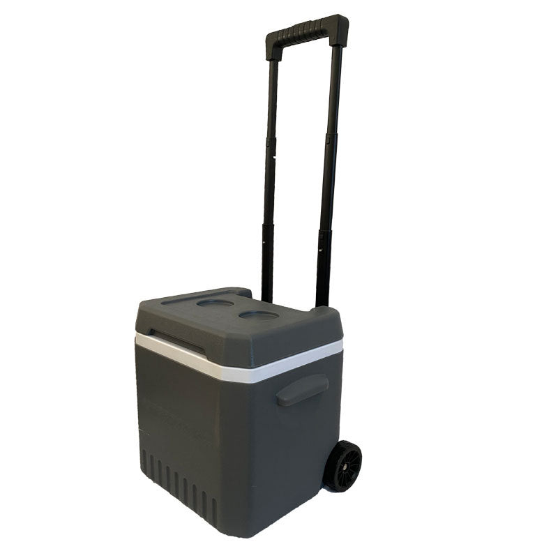 Cooler Bag With Extendable Handle And Wheels