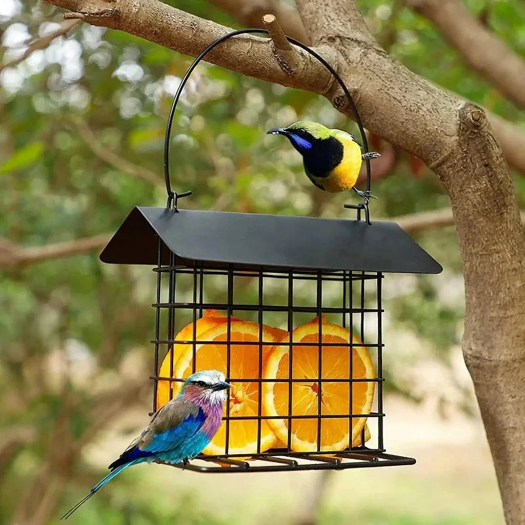 Bird Feeder With Weatherproof Roof