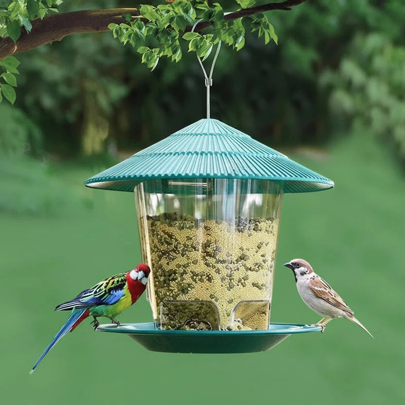 Bird Feeder With Foot Activation