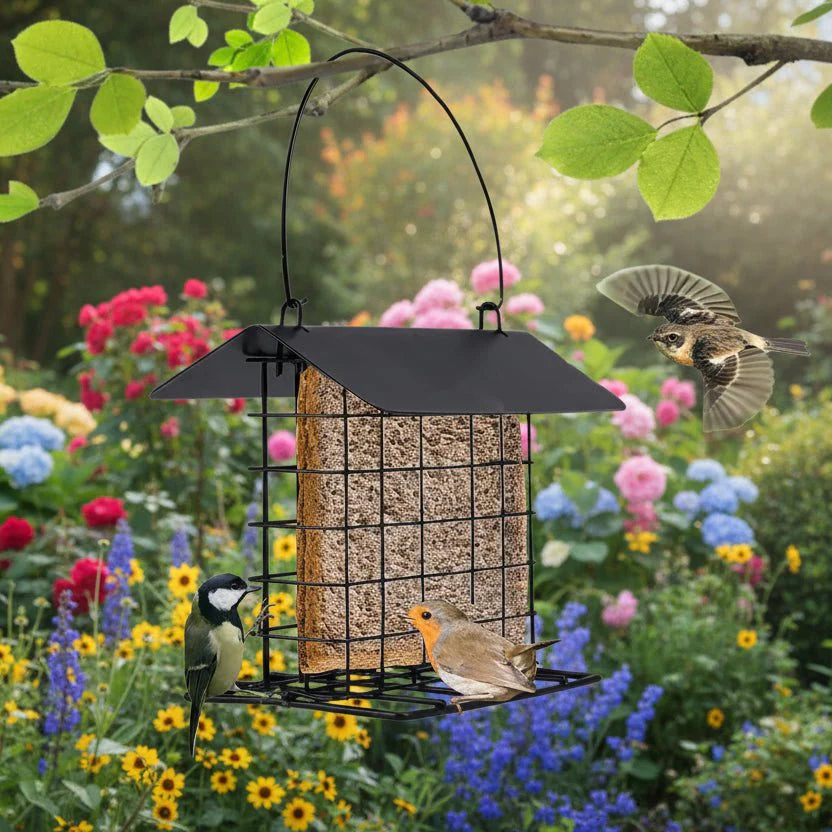 Bird Feeder With Weatherproof Roof