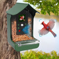 Bird Feeder With HD Camera For Live Wildlife Observation