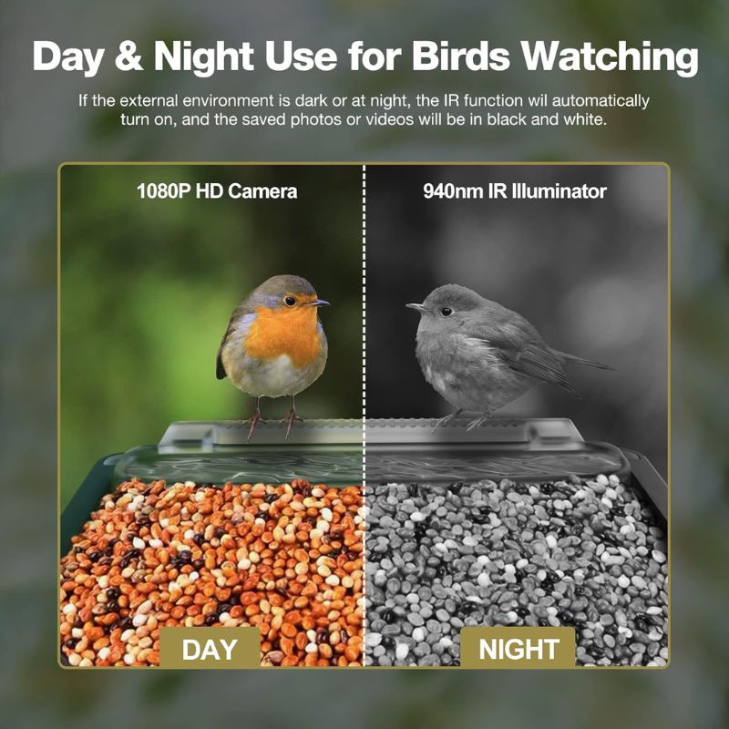 Bird Feeder With HD Camera For Live Wildlife Observation
