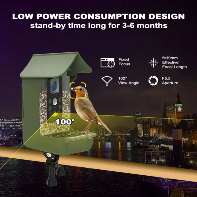 Bird Feeder With HD Camera For Live Wildlife Observation