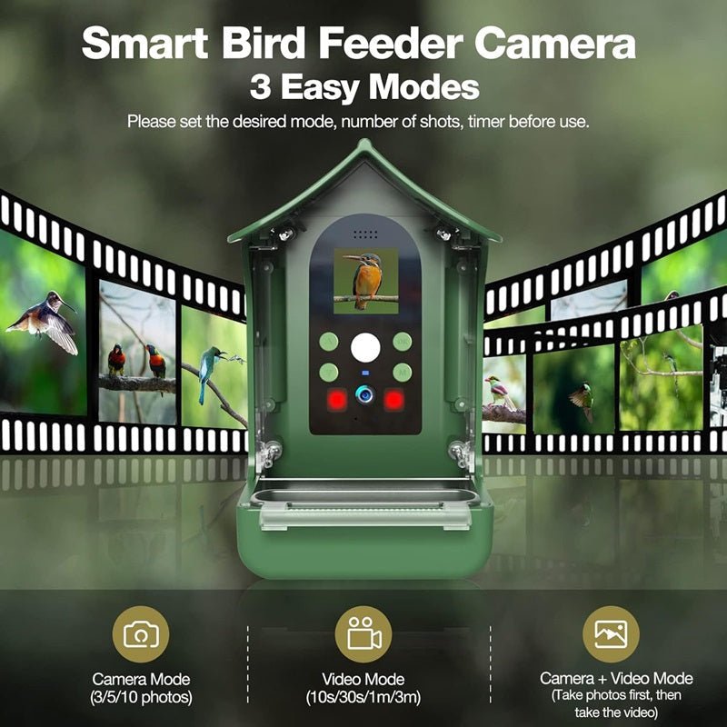 Bird Feeder With HD Camera For Live Wildlife Observation