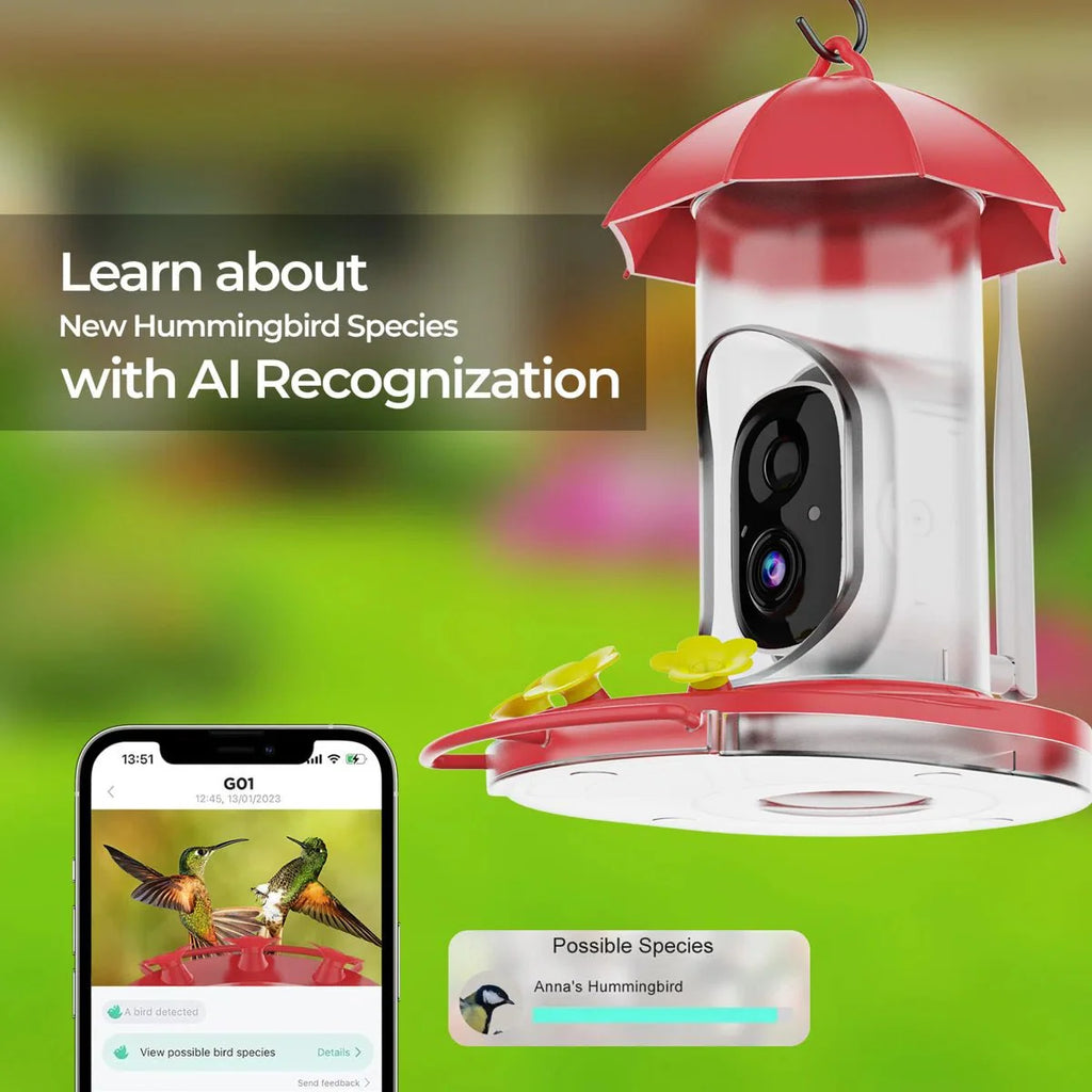 Bird Feeder For Outdoor Use With 1080P Wide-Angle Camera