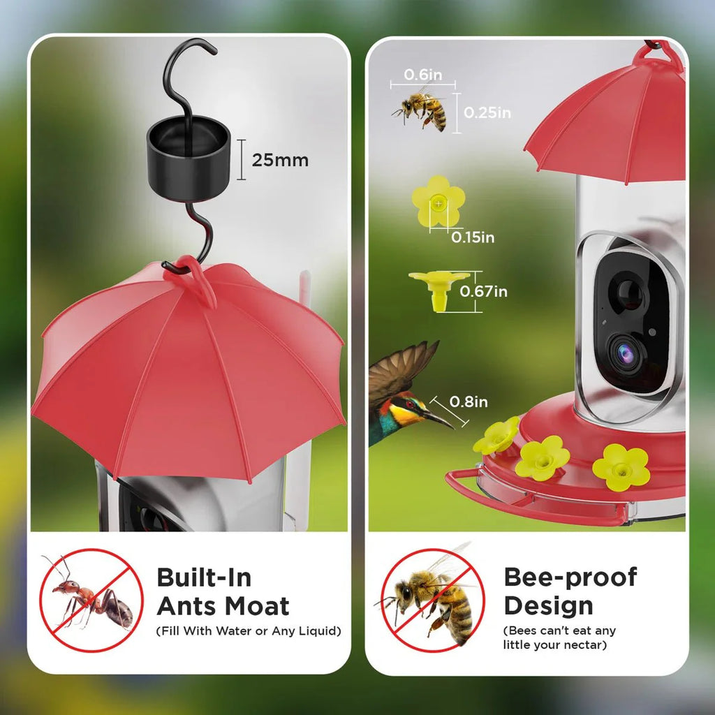Bird Feeder For Outdoor Use With 1080P Wide-Angle Camera