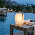 Outdoor Lantern Cordless Wood Handle LED Waterproof IP65 Patio Garden Home