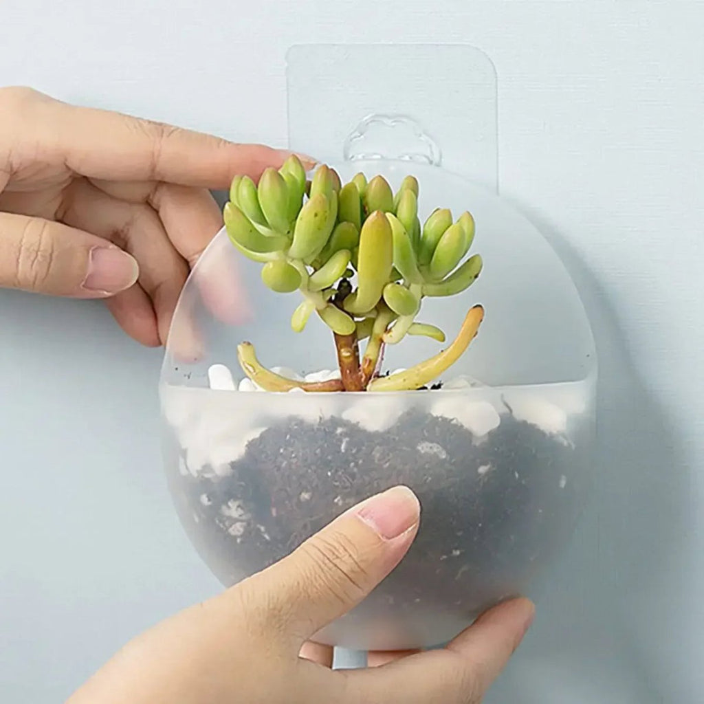 Wall Plant Container For Modern Indoor Greening