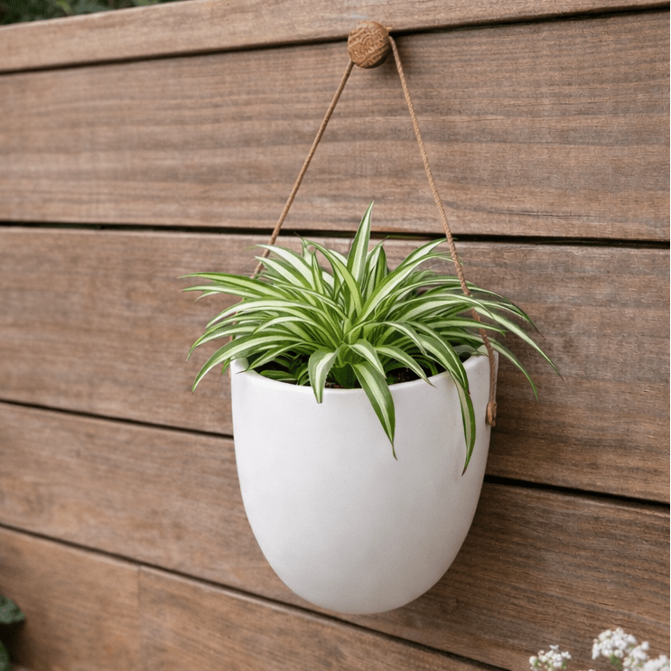 Planter For Space-Saving Green Decoration